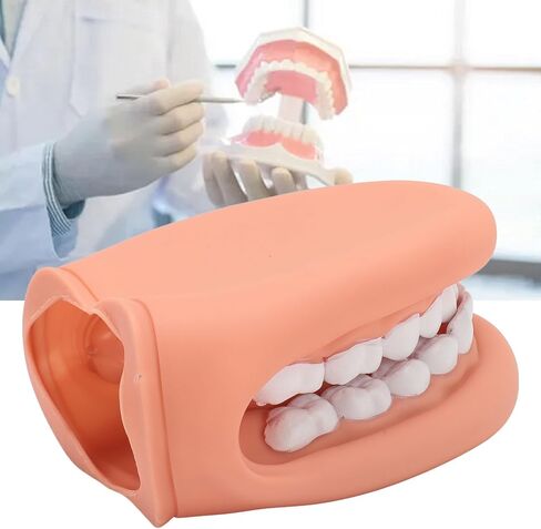 Mouth Hand Puppet with Tongue, Soft Silicone Mouth Puppet for Kids, 28 Teeth, Mouth Model, Speech Toy, Simulation & Teaching in Saudi Arabia