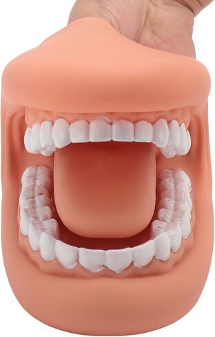 Mouth Hand Puppet with Tongue, Soft Silicone Mouth Puppet for Kids, 28 Teeth, Mouth Model, Speech Toy, Simulation & Teaching in Saudi Arabia