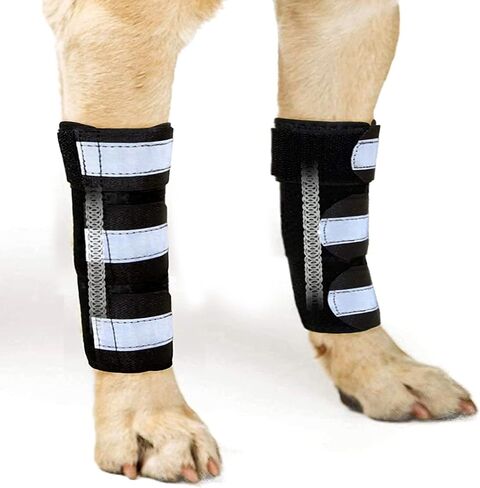 NeoAlly- Front Leg Brace for Dogs & Cats, Dog Leg Brace with Metal Spring Inserts, Dog Leg Sleeve for Carpal Support, Dog Leg Sleeve with Reflective Straps, L/XL, Pair in Kuwait