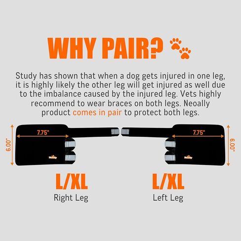 NeoAlly- Front Leg Brace for Dogs & Cats, Dog Leg Brace with Metal Spring Inserts, Dog Leg Sleeve for Carpal Support, Dog Leg Sleeve with Reflective Straps, L/XL, Pair in Kuwait