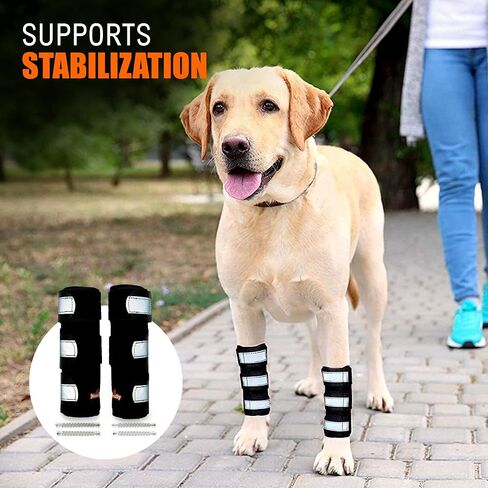NeoAlly- Front Leg Brace for Dogs & Cats, Dog Leg Brace with Metal Spring Inserts, Dog Leg Sleeve for Carpal Support, Dog Leg Sleeve with Reflective Straps, L/XL, Pair in Kuwait