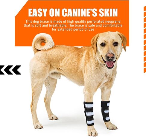 NeoAlly- Front Leg Brace for Dogs & Cats, Dog Leg Brace with Metal Spring Inserts, Dog Leg Sleeve for Carpal Support, Dog Leg Sleeve with Reflective Straps, L/XL, Pair in Kuwait