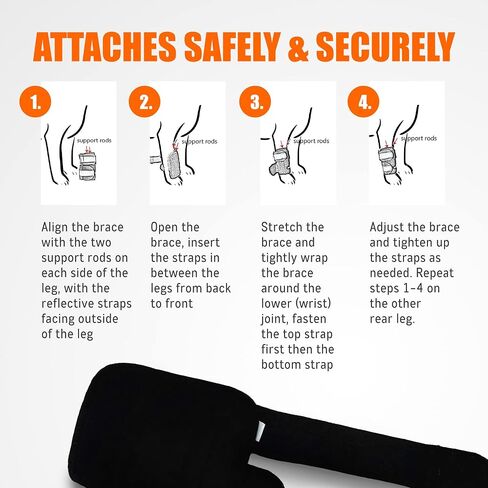 NeoAlly- Front Leg Brace for Dogs & Cats, Dog Leg Brace with Metal Spring Inserts, Dog Leg Sleeve for Carpal Support, Dog Leg Sleeve with Reflective Straps, L/XL, Pair in Kuwait