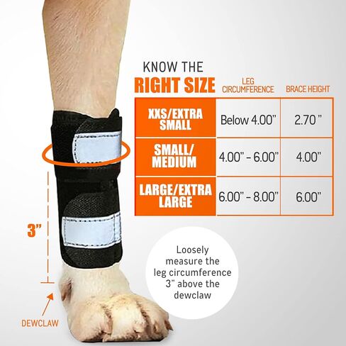 NeoAlly- Front Leg Brace for Dogs & Cats, Dog Leg Brace with Metal Spring Inserts, Dog Leg Sleeve for Carpal Support, Dog Leg Sleeve with Reflective Straps, L/XL, Pair in Kuwait