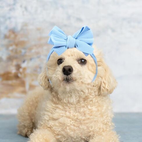 القوس عصابة الكلب ، 2pcs Pet لطيف أغطية الرأس مرنة الرأس ، جرو بوليستر القوس ، غطاء رأس الكلب ملحقات أزياء أزياء الحفلات ، الأرجواني الأرجواني in Saudi Arabia