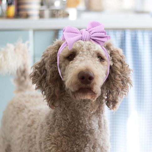القوس عصابة الكلب ، 2pcs Pet لطيف أغطية الرأس مرنة الرأس ، جرو بوليستر القوس ، غطاء رأس الكلب ملحقات أزياء أزياء الحفلات ، الأرجواني الأرجواني in Saudi Arabia