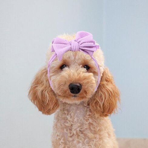 القوس عصابة الكلب ، 2pcs Pet لطيف أغطية الرأس مرنة الرأس ، جرو بوليستر القوس ، غطاء رأس الكلب ملحقات أزياء أزياء الحفلات ، الأرجواني الأرجواني in Saudi Arabia