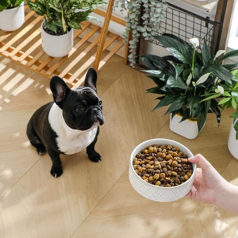 MALACASA Dog Bowl Set, Ceramic Bowls with Walnut Wood Stand, 2 Cups in Kuwait