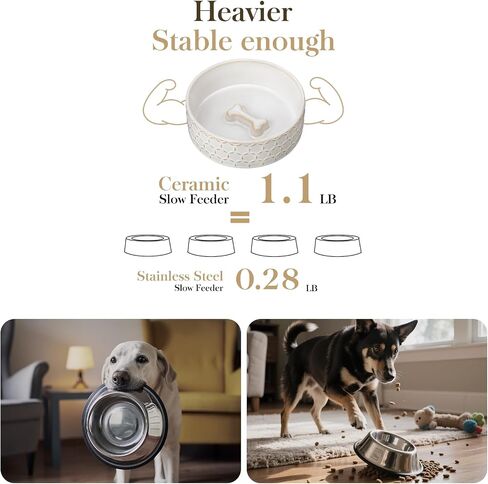 MALACASA Dog Bowl Set, Ceramic Bowls with Walnut Wood Stand, 2 Cups in Kuwait