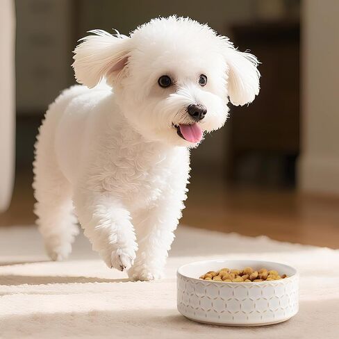 MALACASA Dog Bowl Set, Ceramic Bowls with Walnut Wood Stand, 2 Cups in Kuwait