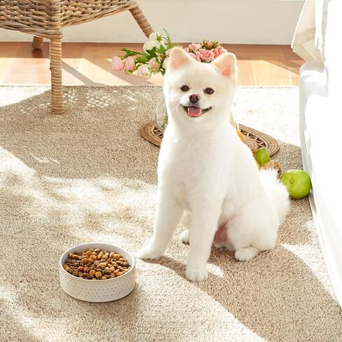 MALACASA Dog Bowl Set, Ceramic Bowls with Walnut Wood Stand, 2 Cups in Kuwait