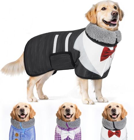 Bienbee Dog Bathrobe لتجفيف الكلاب ، أردية الكلاب السريعة للتجفيف بعد حمام Super Assorbent Dogs منشفة ملابس لطيفة معطف بيجاما ، أرجواني XXL in Kuwait