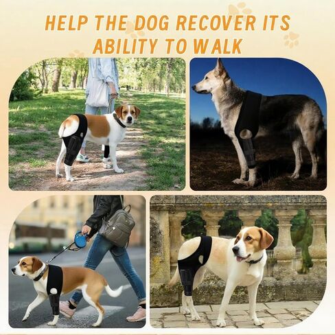 Dog Knee Brace for Torn Acl Hind Leg, Adjustable Dog Knee Brace, Helps Relieve Anterior Cruciate Ligament Tears Dog Leg Brace, Keeps Joints Stable, Relieves Pain, L in Saudi Arabia