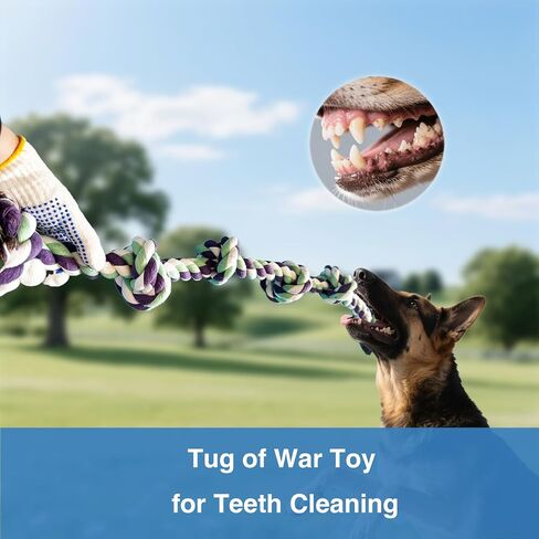Tug of War Rope Toy للكلاب الكبيرة - 42 بوصة 6 KNOT XL لعبة شديدة التحمل ، لعبة شد القطن الصعبة غير القابلة للتدمير للمضغات العدوانية العملاقة الكبيرة ، وتنظيف/تدريب/تمارين. in Kuwait