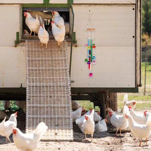 Chicken Toys for Coop, Enrichment Toys Wind Chimes Home Garden Colorful Art Hanging Chick Peck Toy Decoration with Bells Fun & Interactive Hens Brooder Accessories for Bird Parrot Lovebird in Saudi Arabia