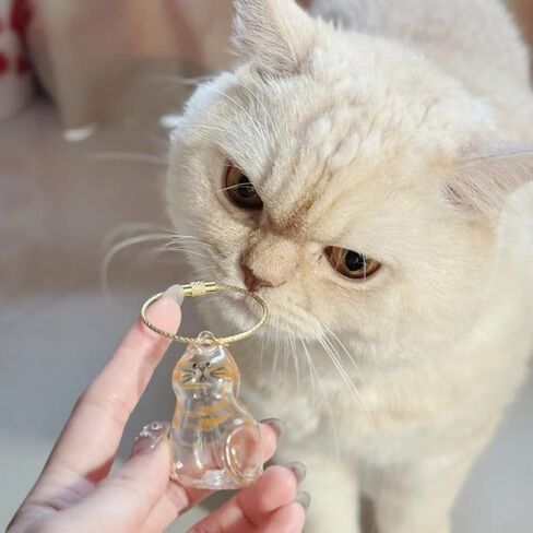 Cat Fur Memorial Keychain Keepsake Capsule Hair Storage Pendant for Pet Remembrance Fillable in Saudi Arabia
