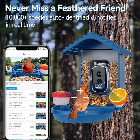 تغذية الطيور مع الكاميرا تعمل بالطاقة الشمسية ، 2.5 كيلو بايت عالي الدقة في عرض Bird House Live ، تحديد أنواع الطيور الذكية للحديقة الخارجية ، حمام الطيور ، هدية مثالية لمحبي الطيور (الأزرق) in Kuwait