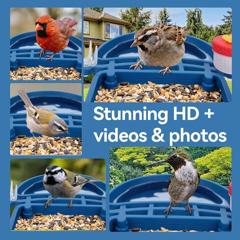 تغذية الطيور مع الكاميرا تعمل بالطاقة الشمسية ، 2.5 كيلو بايت عالي الدقة في عرض Bird House Live ، تحديد أنواع الطيور الذكية للحديقة الخارجية ، حمام الطيور ، هدية مثالية لمحبي الطيور (الأزرق) in Kuwait
