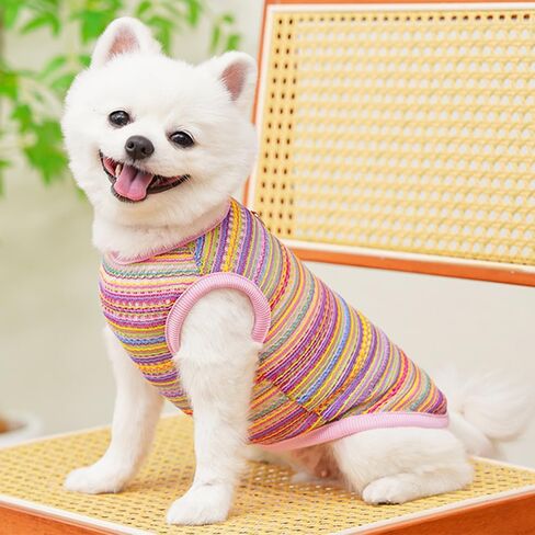 2 Pack Summer Small Dog T-Shirts with Leash Ring Breathable Girl Puppy Clothes Cooling Boy Cats Outfits Sleeveless Dog Tee Shirt Lightweight Pet Vest Shirt (Pink+Bue Hollow Out, Large) in Kuwait