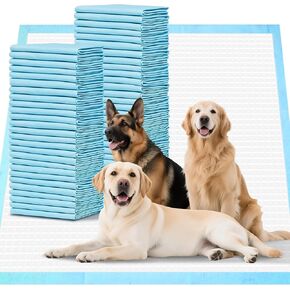 Dog Pee Pads Extra Large-40 Count- 31.5 x 35.4 Inch - Puppy Pads, Super Absorbent, Leak-Proof Potty Training Pads for Doggy, XXL Unscented Training Pads, Quick Dry Pet Pads, Blue in Saudi Arabia