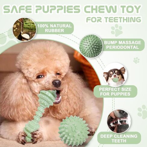 Puppy Toys - 7 Pack Puppies & Small Dogs Chew Toys for Teething,Relieves Teething Anxiety, Soft & Durable Interactive Toys, Not for Heavy Chewer in Saudi Arabia