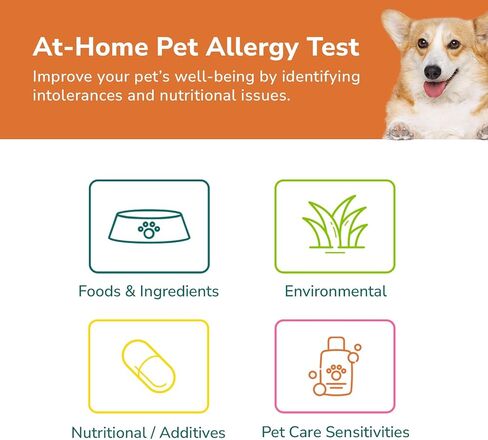 Pet Allergy Test - at-Home Pet Intolerance Test for Dogs and Cats - Food, Ingredients, Environment, Nutritional, Additives, Sensitivities in Saudi Arabia