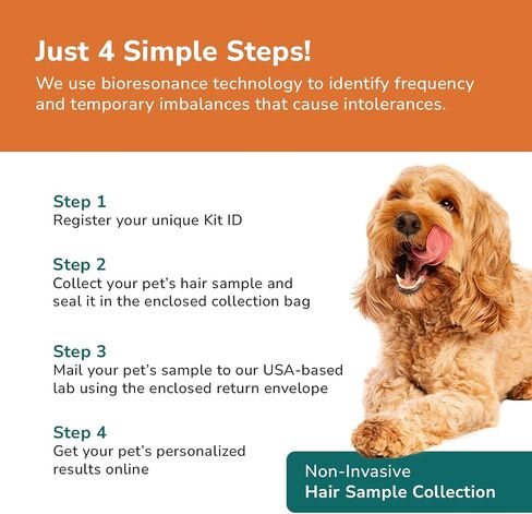 Pet Allergy Test - at-Home Pet Intolerance Test for Dogs and Cats - Food, Ingredients, Environment, Nutritional, Additives, Sensitivities in Saudi Arabia