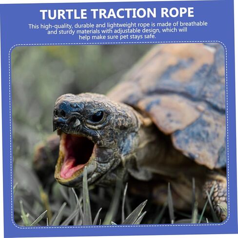 Adjustable Tortoise Harness Leash Waterproof PET Pulling Rope for Outdoor Walking Lightweight Turtle Walking Leash Suitable for Land Tortoises Random Color in Kuwait