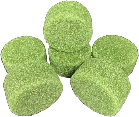Green Foam Disc 3 1/2 Inches X 2 Inches for Floral Decor for vases, Cemetery cans, etc. (6) in Saudi Arabia