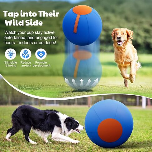 Happypaw 18 '' Herding Ball for Dogs - معدات رشيقة لعبة الكلاب المتينة للرعاة الأستراليين ، والماشية ، والكوليس الحدودية ، وسلالات صغيرة/medieum in Kuwait