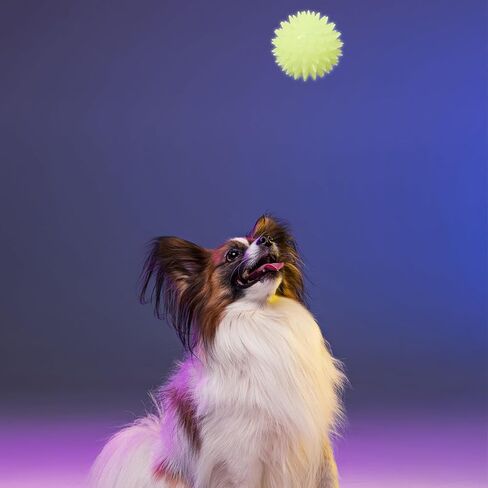 Gnawsome Glow-in-the-dark spiky ball- صغير 2.5 " in Kuwait