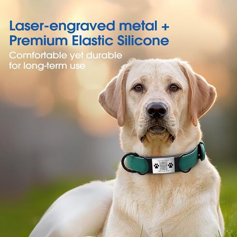 رمز QR Dog Cat Pet Tags Laser محفورة من الفولاذ المقاوم للصدأ - تنبيهات الفحص في الوقت الفعلي وملف تعريف أليف رقمي قابل للمشاركة ، لا توجد رسوم اشتراك ، لا توجد حواف حادة مصقولة قوس مستطيلة مستطيلة. in Kuwait