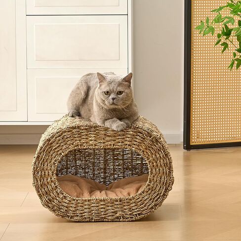 Cat House ، Cat Cat Cave Cube ، Rattan Cat Beds House indoor Hitten House مع وسائد ناعمة على الوجهين ، منزل Cat Pet لقطط متعددة ، لغرفة غرفة المعيشة in Kuwait