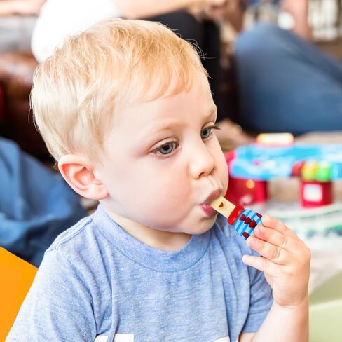 NUOBESTY Whistle Toys, 3pcs Animal Wood Whistles for Kids Wooden Children Music Instrument Educational Toys for Party Favors, Interactive Toys (Random Style) in Saudi Arabia