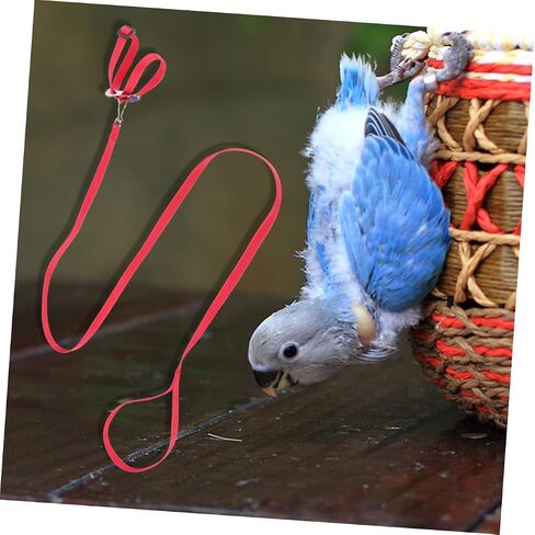 BESTonZON 1Pc Bird Hamster Tow Rope Durable Pet Pulling Leash for Outdoor Use for Turtles and Lizards Bright with Unique Design in Saudi Arabia