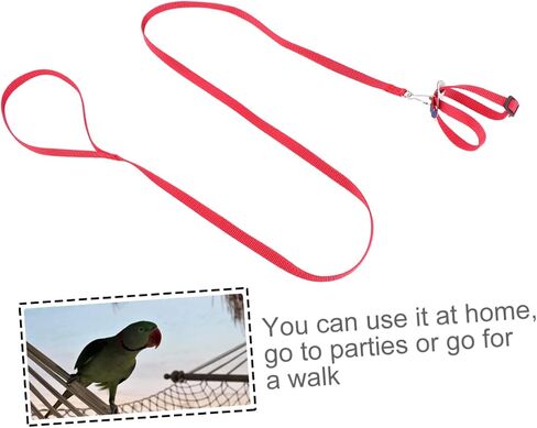 BESTonZON 1Pc Bird Hamster Tow Rope Durable Pet Pulling Leash for Outdoor Use for Turtles and Lizards Bright with Unique Design in Saudi Arabia