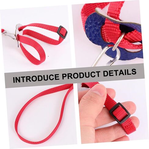 BESTonZON 1Pc Bird Hamster Tow Rope Durable Pet Pulling Leash for Outdoor Use for Turtles and Lizards Bright with Unique Design in Saudi Arabia