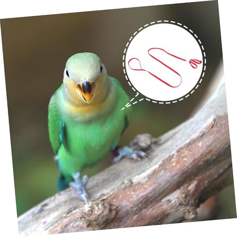 BESTonZON 1Pc Bird Hamster Tow Rope Durable Pet Pulling Leash for Outdoor Use for Turtles and Lizards Bright with Unique Design in Saudi Arabia
