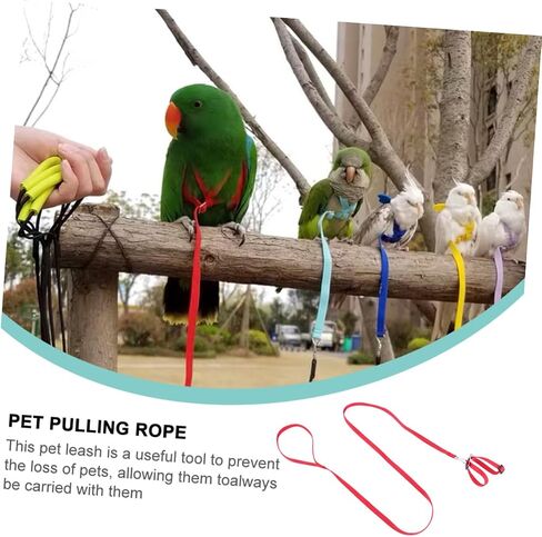BESTonZON 1Pc Bird Hamster Tow Rope Durable Pet Pulling Leash for Outdoor Use for Turtles and Lizards Bright with Unique Design in Saudi Arabia