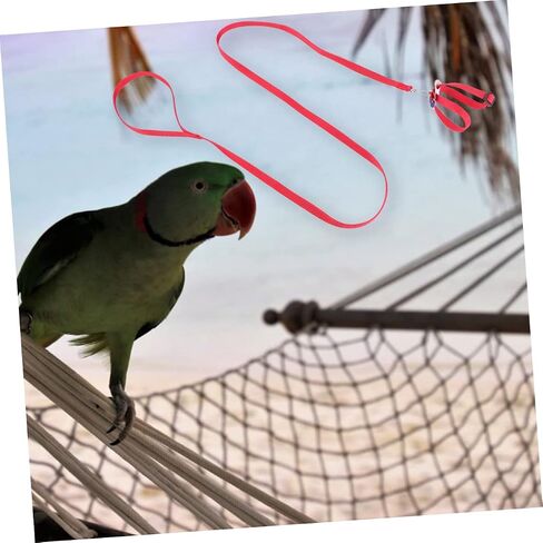 BESTonZON 1Pc Bird Hamster Tow Rope Durable Pet Pulling Leash for Outdoor Use for Turtles and Lizards Bright with Unique Design in Saudi Arabia