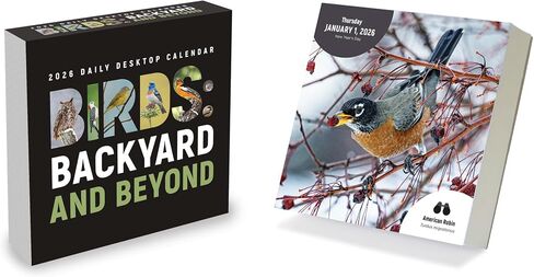 TF Publishing 2026 365 National Parks Daily Desktop Calendar - Home and Office Organization - Small Desk Calendar 2026 with Full-Color Tear-Off Pages and Standing Cardboard Easel - 5.25in x 5.25in in Saudi Arabia