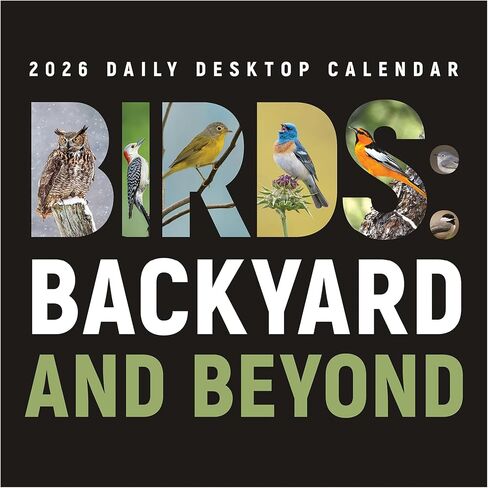 TF Publishing 2026 365 National Parks Daily Desktop Calendar - Home and Office Organization - Small Desk Calendar 2026 with Full-Color Tear-Off Pages and Standing Cardboard Easel - 5.25in x 5.25in in Saudi Arabia