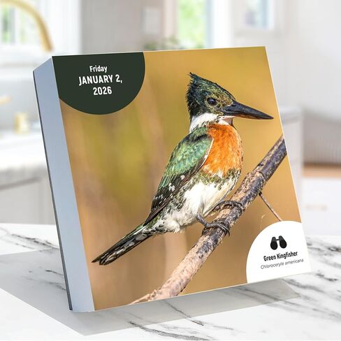 TF Publishing 2026 365 National Parks Daily Desktop Calendar - Home and Office Organization - Small Desk Calendar 2026 with Full-Color Tear-Off Pages and Standing Cardboard Easel - 5.25in x 5.25in in Saudi Arabia