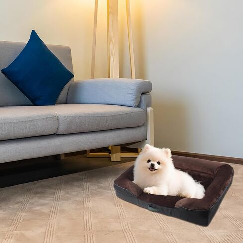 Orthopedic Egg-Shaped Sponge Dog Bed Small Size Dog with Sides, Removable Cover and Non-Slip Bottom (Grey, 24 * 18 * 6) in Saudi Arabia