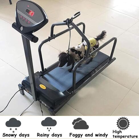 Dog Treadmill for Small Dogs, Adjustable Speed Pet Dog Running Machine Exercise Equipment, with LCD Display Scree, for Dogs Indoor & Outdoor Training in Saudi Arabia