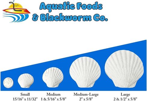 Aquatic Foods Inc. Calcium Enriched Food Shells, Small & Medium Extra Thick Shells for Shrimp, Snails, Crabs, Crayfish, Plecos, Catfish, Bottom Fish, All Tropical Fish, Small & Medium…50 Count Jar in Saudi Arabia
