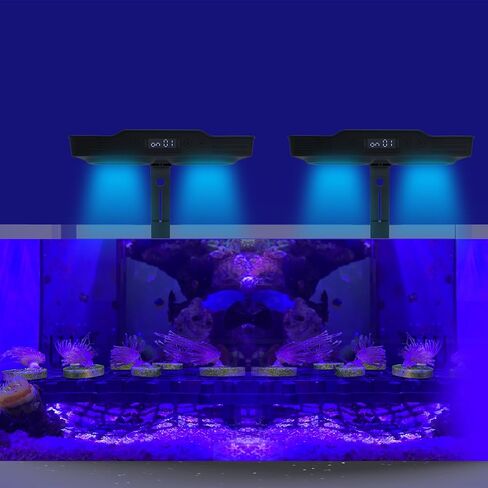 ضوء الحوض - 36Watts Light Light مع Timer Sunrise and Sunset Touch التحكم Dimmable Saltwater Aquarium Light لخزان النانو (A036) in Kuwait