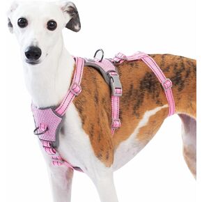 Escape Proof Dog Sharness-لا سحب ، لا زلة ، عاكسة تمامًا ، قابلة للتعديل من 7 نقاط للكلاب الصغيرة والمتوسطة والكبيرة-خفيفة الوزن للتدريب في الهواء الطلق والمشي لمسافات طويلة (Teal ، M) in Kuwait