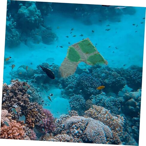 منصة سعة حوض أسماك سلحفاة منصة الزواحف الزواحف لزخارف سلحفاة الحيوانات الأليفة in Kuwait