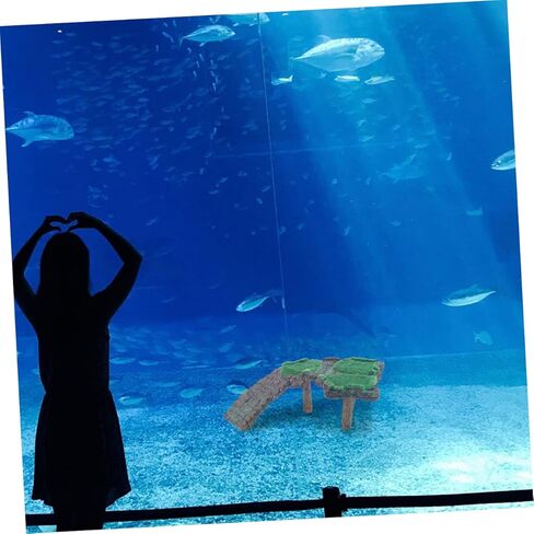 منصة سعة حوض أسماك سلحفاة منصة الزواحف الزواحف لزخارف سلحفاة الحيوانات الأليفة in Kuwait